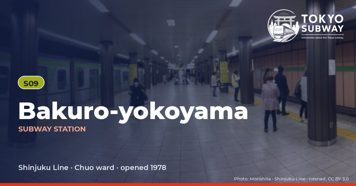 Bakuro-yokoyama Station, Tokyo subway