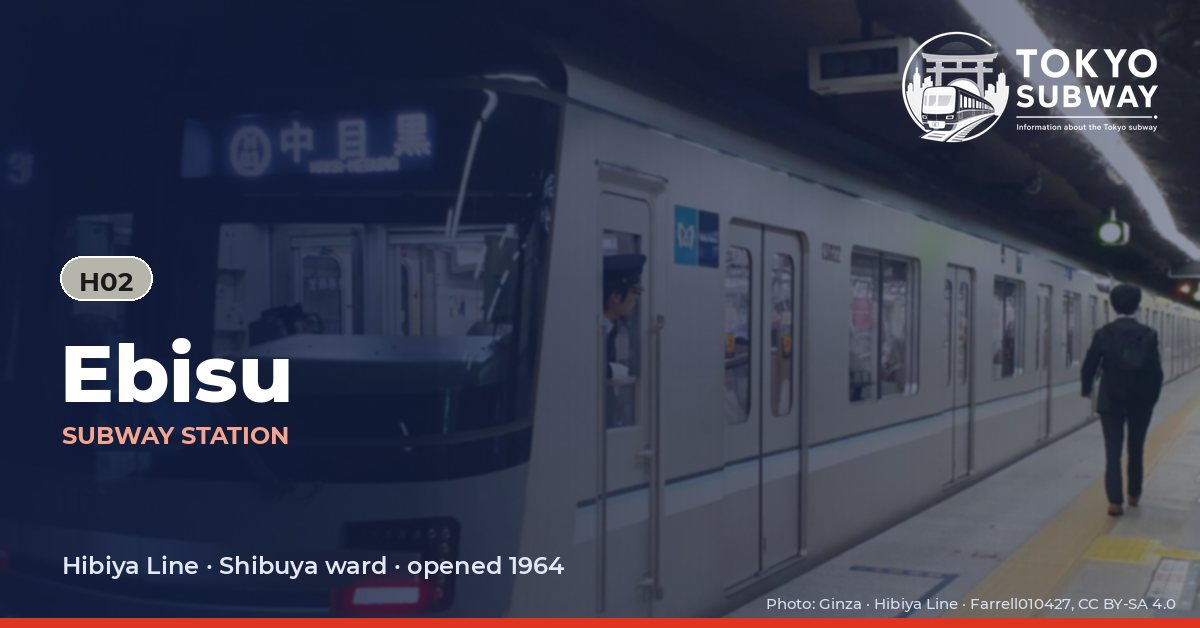 Ebisu Station, Tokyo subway