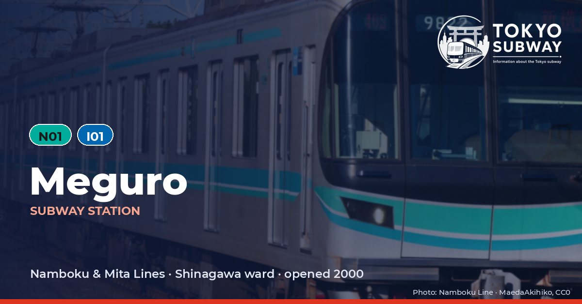 Meguro Station, Tokyo subway