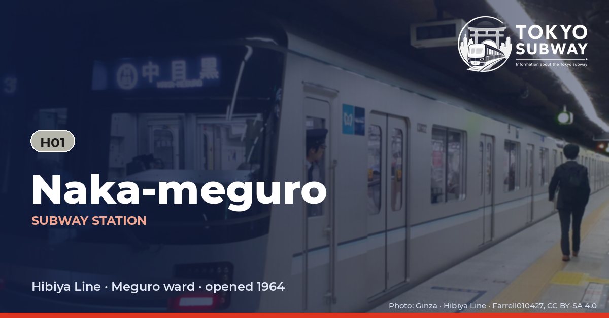 Naka-meguro Station, Tokyo subway