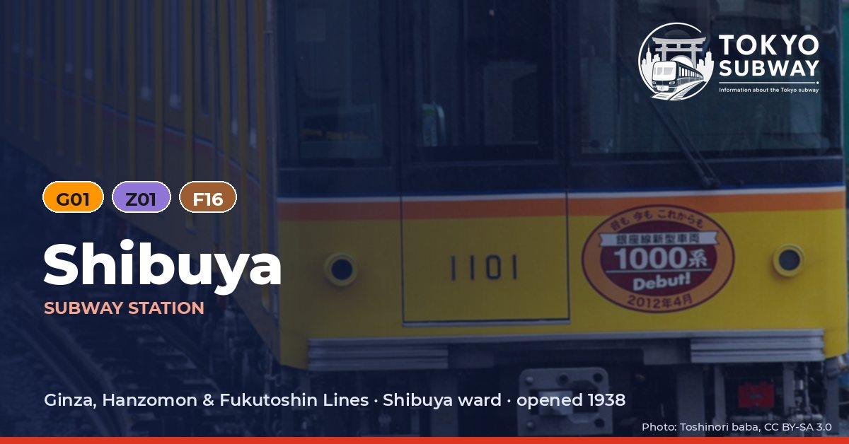 Shibuya Station, Tokyo subway