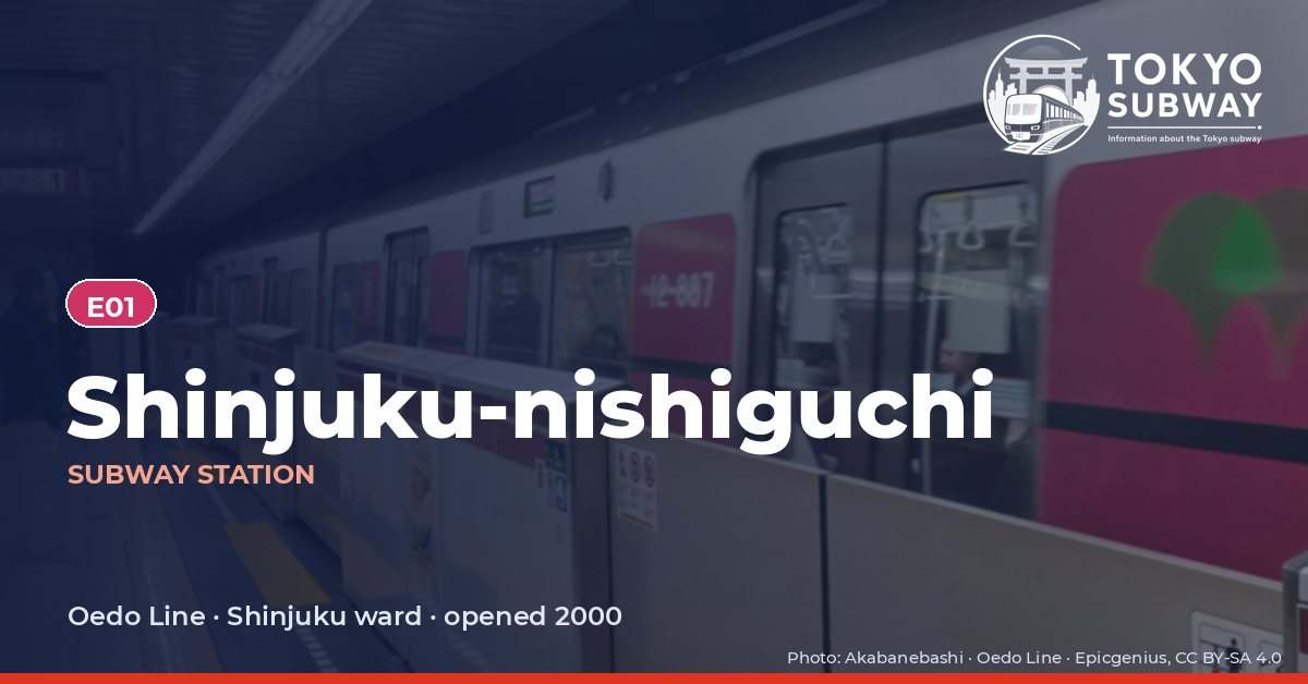 Shinjuku-nishiguchi Station, Tokyo subway