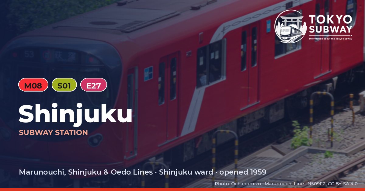 Shinjuku Station, Tokyo subway